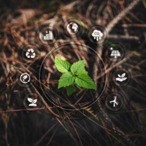 Corsi di approfondimento sulla normativa ambientale (Testo Unico Ambiente D.lgs. 152)