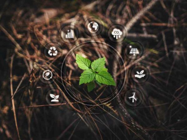 Corsi di approfondimento sulla normativa ambientale (Testo Unico Ambiente D.lgs. 152)